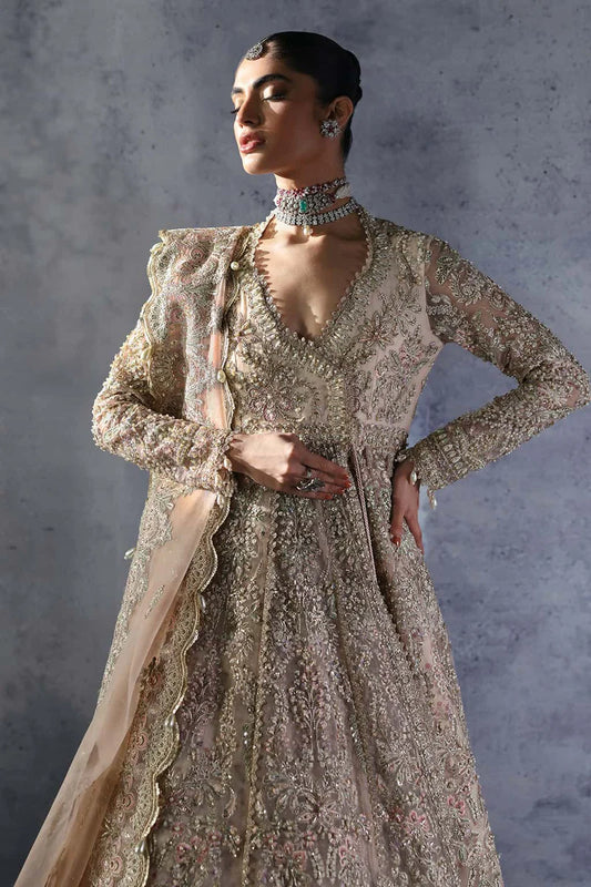 Afrozeh (THE BRIDES EDIT '25) D5 Emille