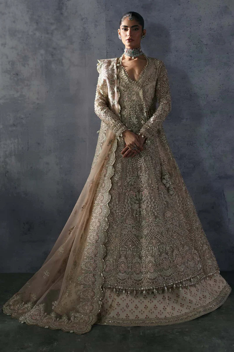Afrozeh (THE BRIDES EDIT '25) D5 Emille