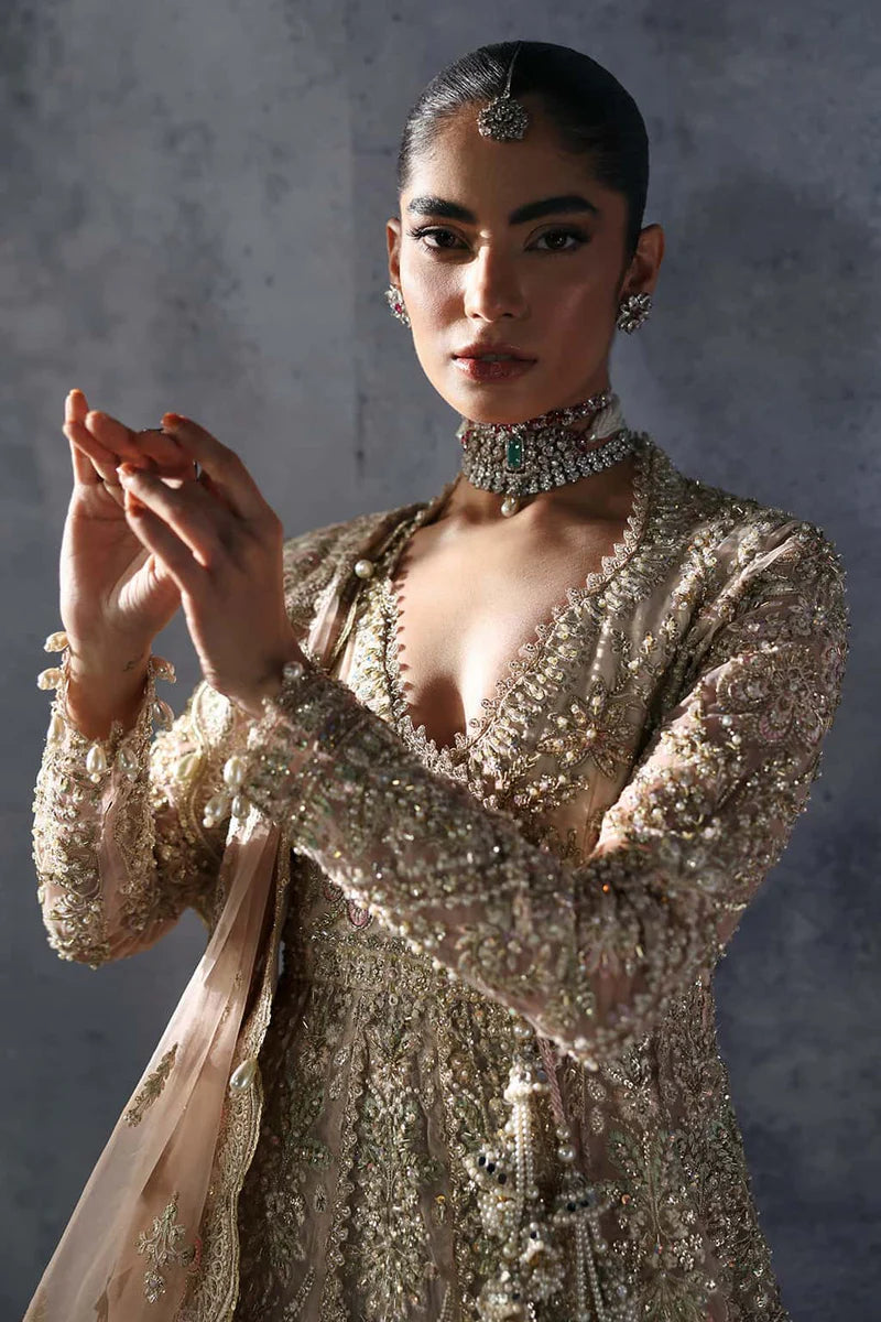 Afrozeh (THE BRIDES EDIT '25) D5 Emille