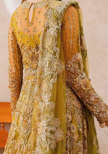 ELAF - EVARA XXIII - Chapter 1 - Wedding Unstitched EEB-05 HENNA