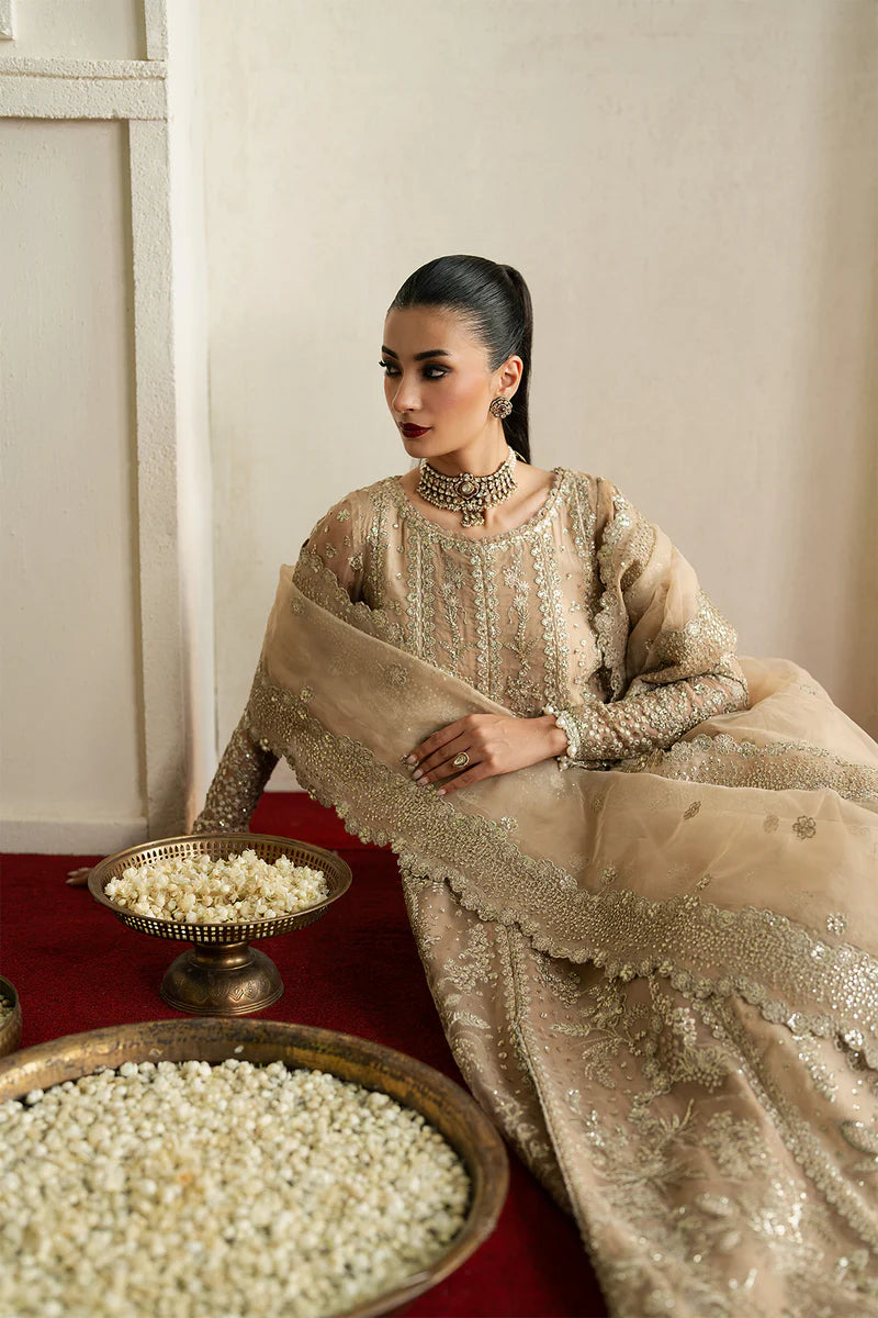 Ayzel By Afrozeh -- Pehli Nazar'25 -- MEHEKTI