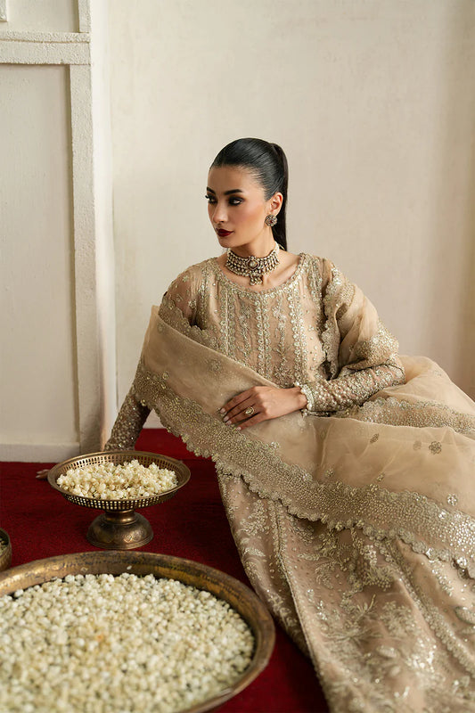 Ayzel By Afrozeh -- Pehli Nazar'25 -- MEHEKTI